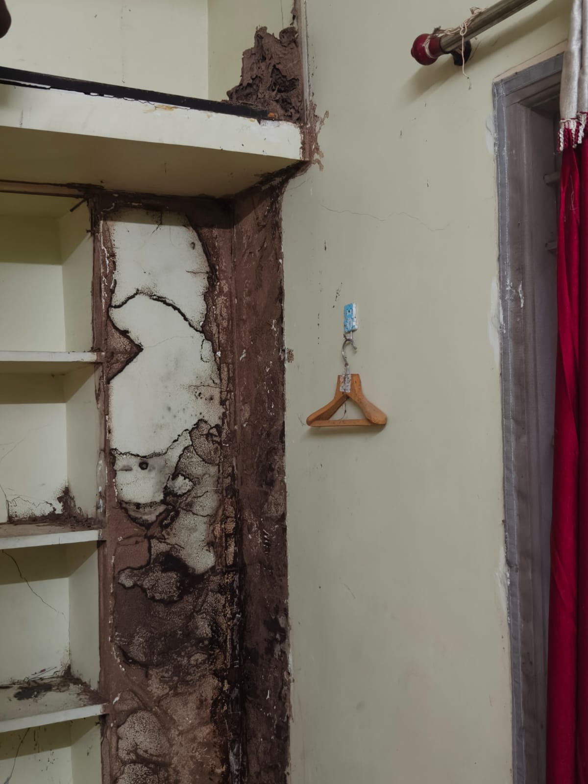 Pest Control Services in West Mambalam
