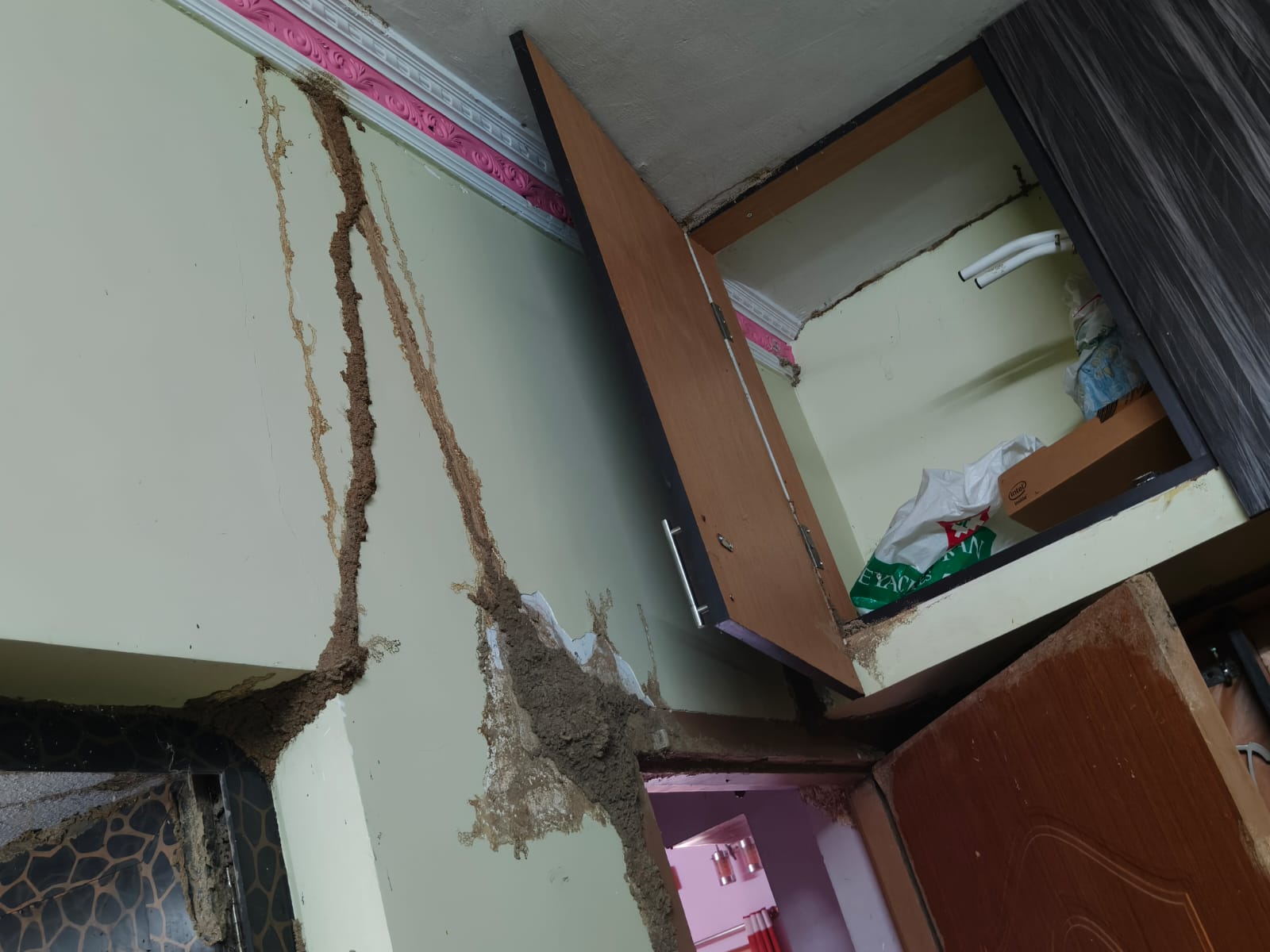 Termite Control Services in West Mambalam