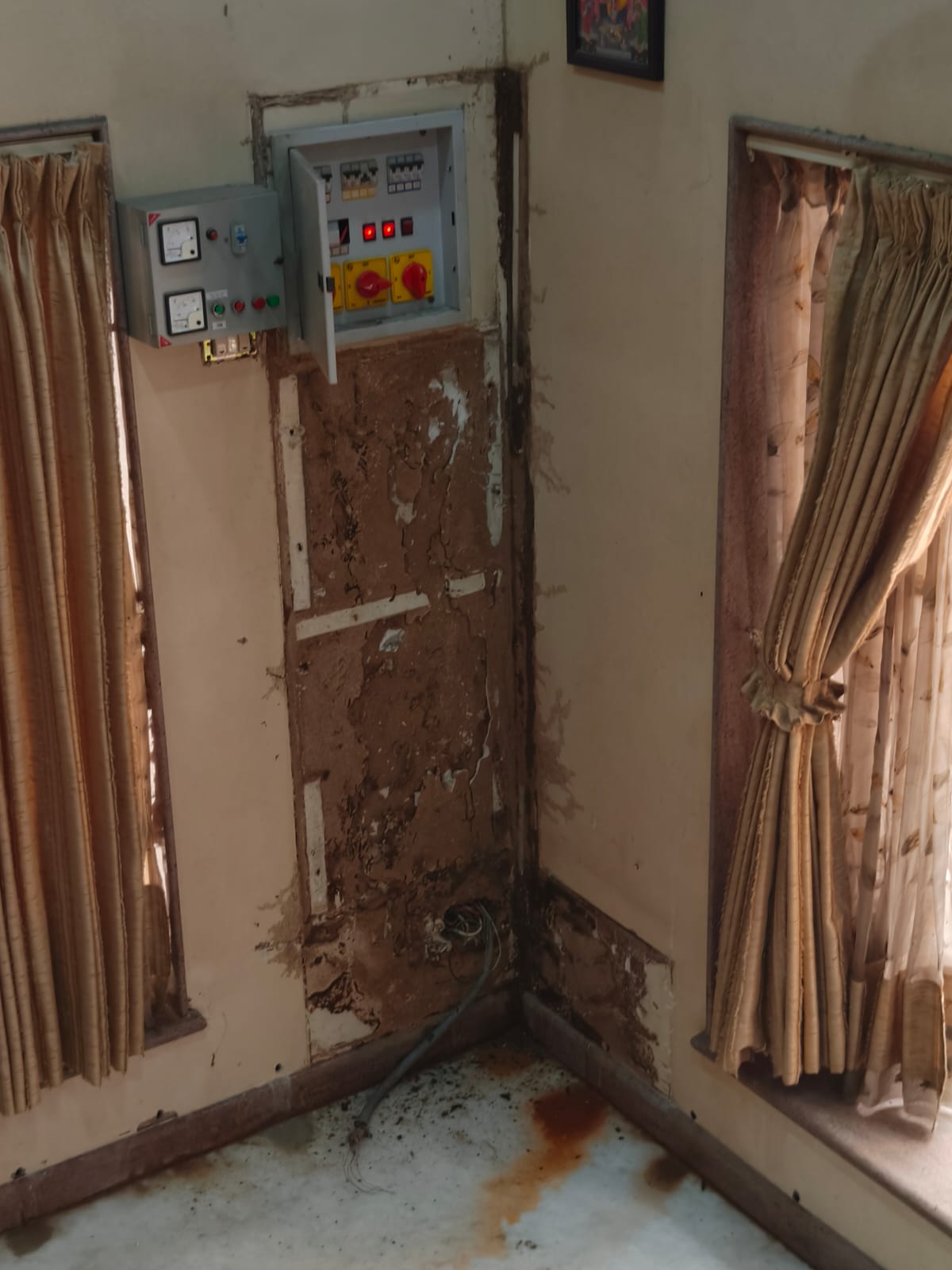 Rodent Pest Control Services in West Mambalam